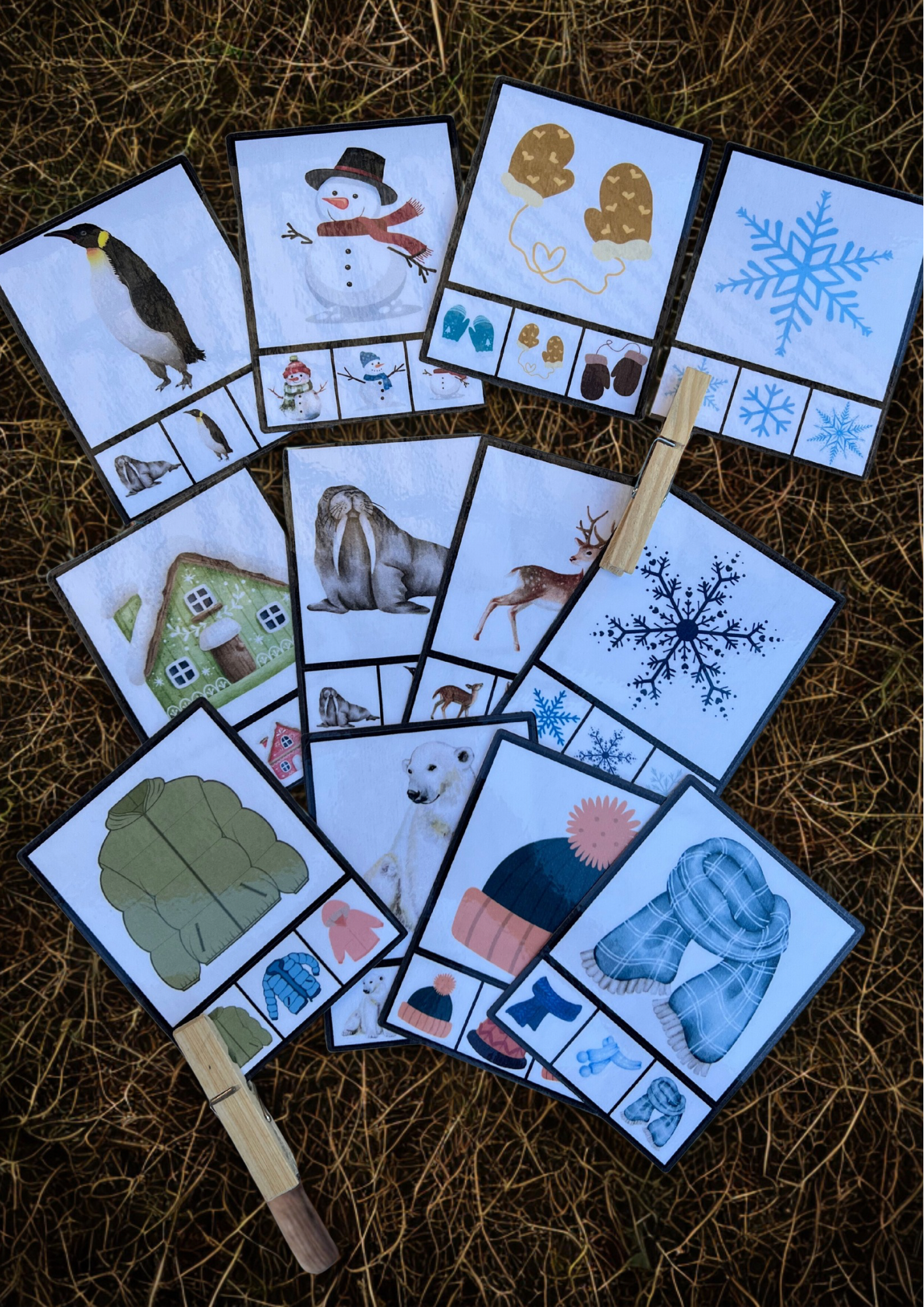 Cartes à pinces d’hiver